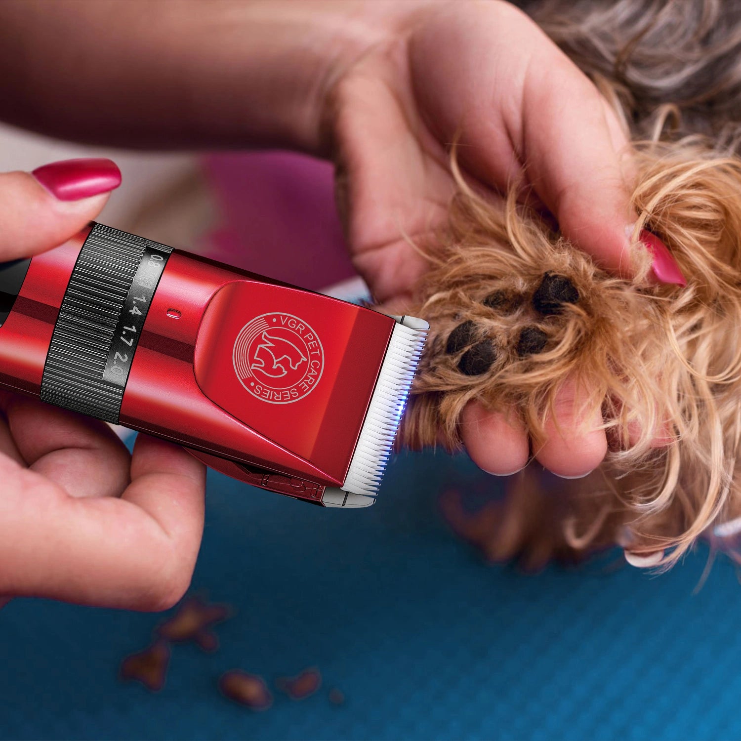 VGR V-240 Professional Pet Trimmer