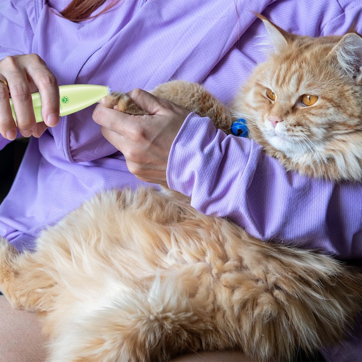 VGR V-219 Professional Pet Trimmer