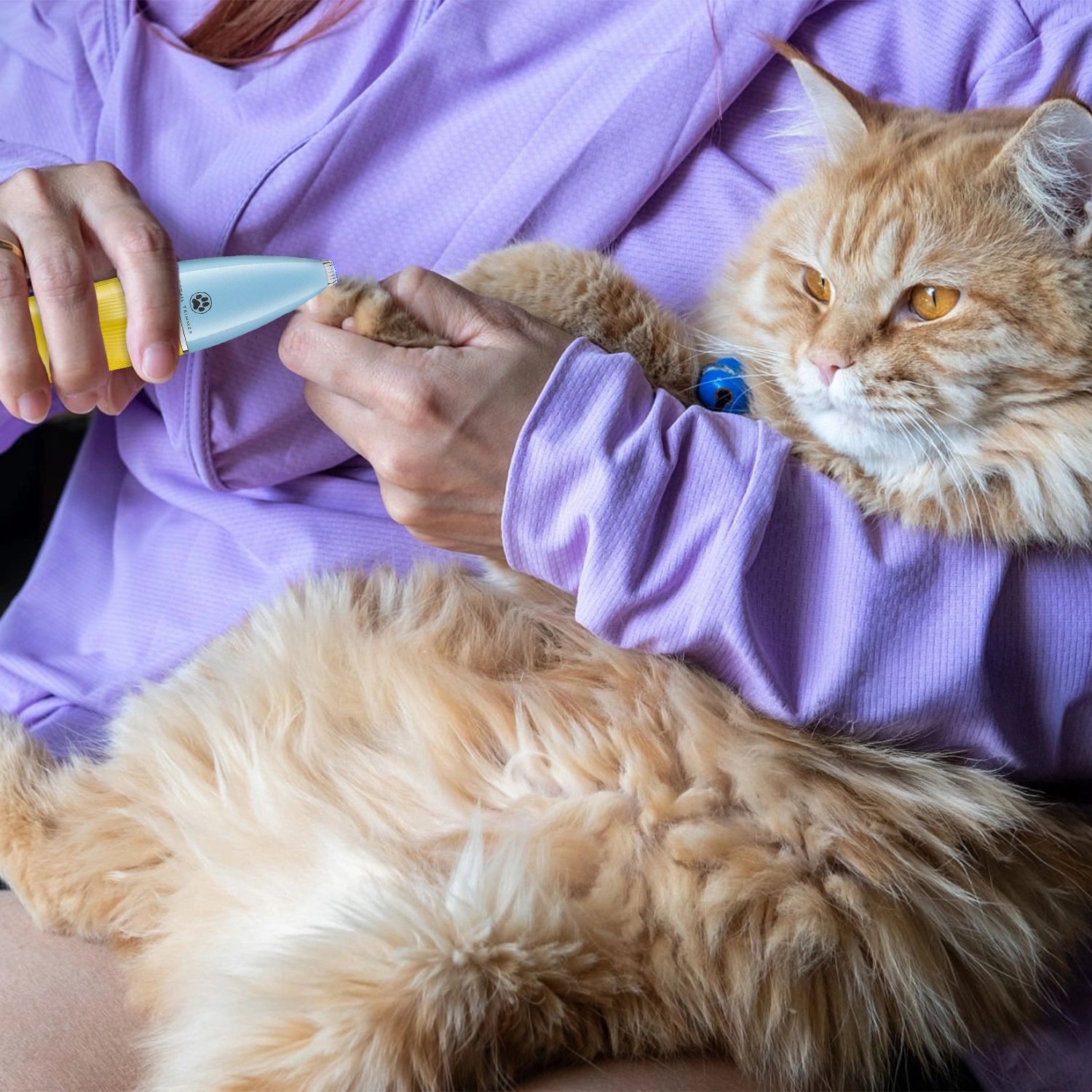 VGR V-219 Professional Pet Trimmer