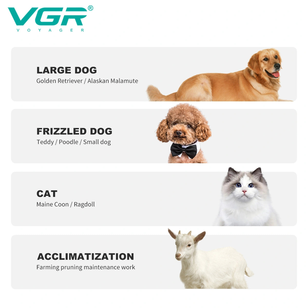 VGR V-201 Professional Pet Clipper - Turbo Function, LED Display, Ceramic & Stainless Steel Blades, 2000mAh Battery, 4 Guide Combs, USB Charging, 200-Minute Runtime with 1 Year Warranty (Silver)