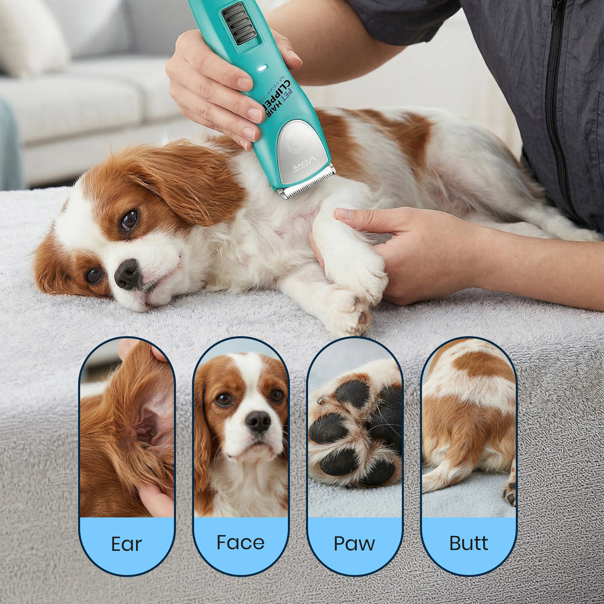 VGR V-216 Professional Pet Clipper, Blue