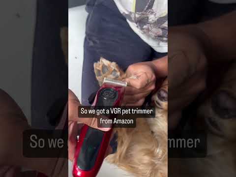 VGR, VGRindia, VGRofficial, V-202