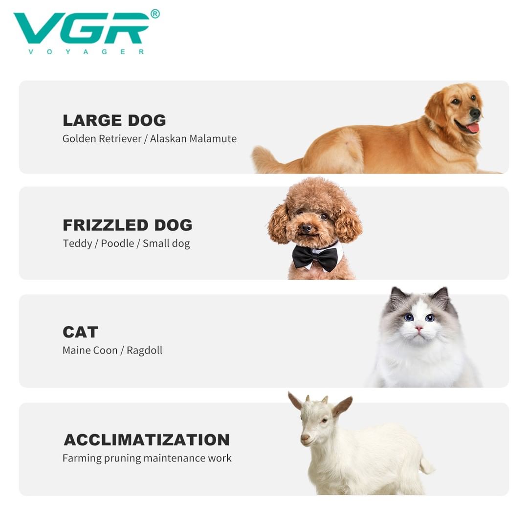 VGR V-201 Professional Pet Clipper - Turbo Function, LED Display, Ceramic & Stainless Steel Blades, 2000mAh Battery, 4 Guide Combs, USB Charging, 200-Minute Runtime with 1 Year Warranty (Silver)