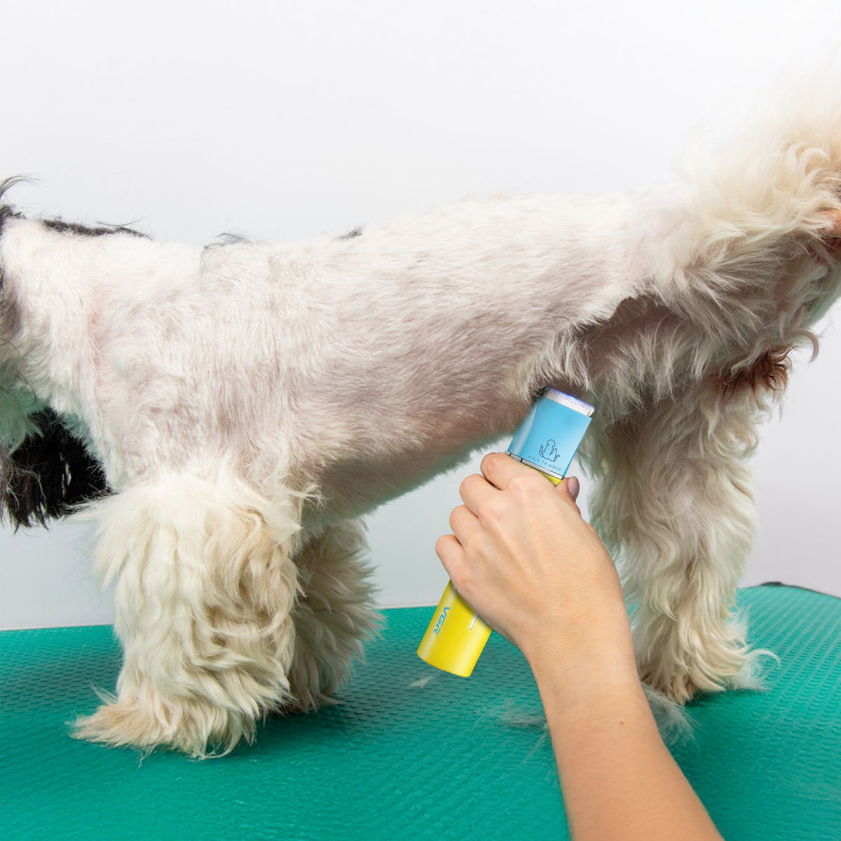 VGR V-219 Professional Pet Trimmer with 150 Min Runtime, Green