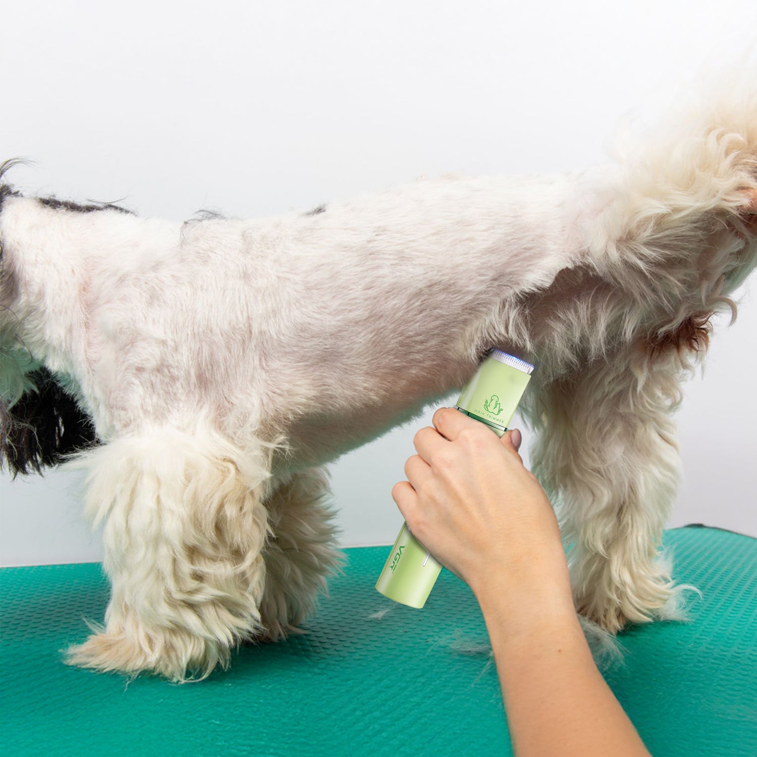 VGR V-219 Professional Pet Trimmer