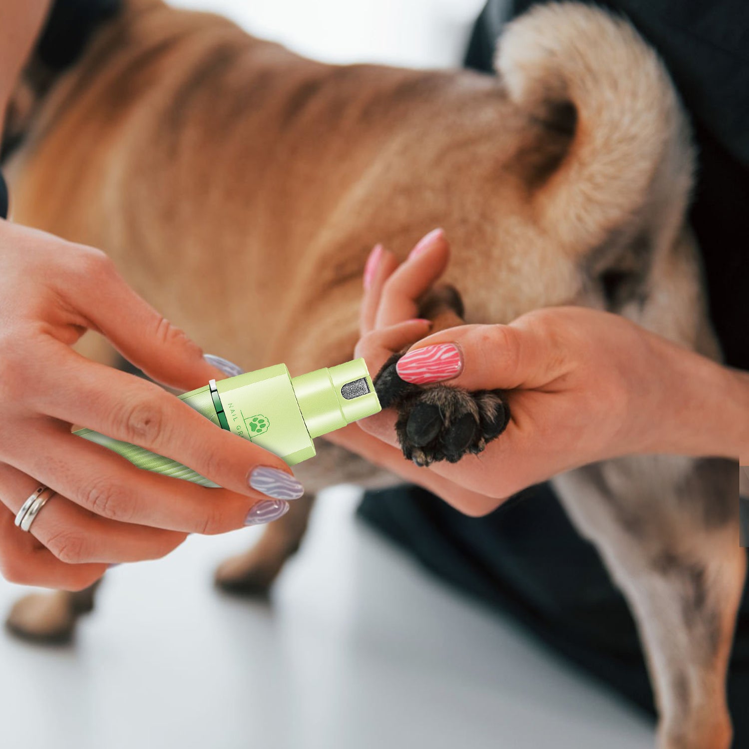 VGR V-219 Professional Pet Trimmer